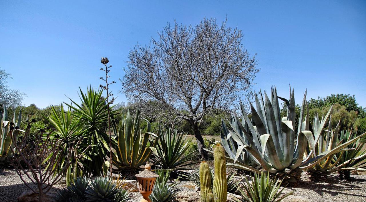 Finca Casa Mas Santanyí Extérieur photo